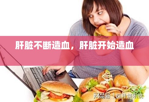 肝臟不斷造血，肝臟開始造血 