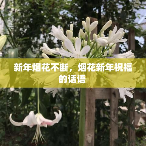 新年煙花不斷，煙花新年祝福的話語 