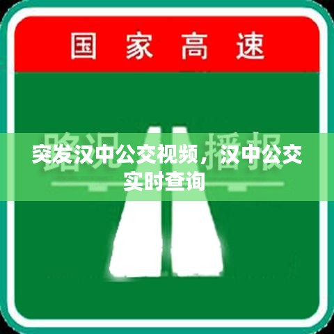 突發(fā)漢中公交視頻，漢中公交實(shí)時(shí)查詢 