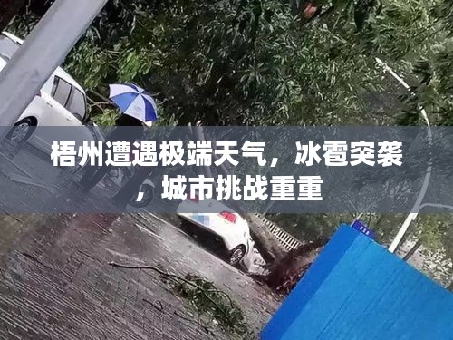梧州遭遇極端天氣，冰雹突襲，城市挑戰(zhàn)重重