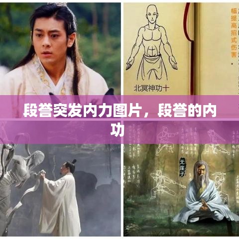 段譽(yù)突發(fā)內(nèi)力圖片，段譽(yù)的內(nèi)功 