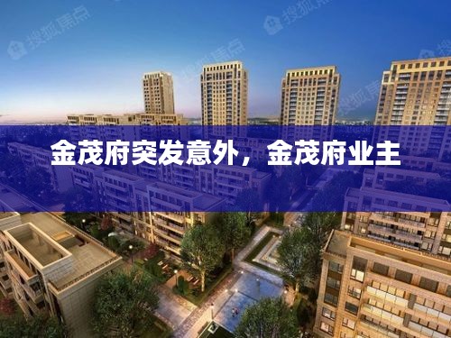金茂府突發(fā)意外，金茂府業(yè)主 