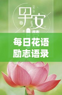 每日花語勵志語錄，簡短鼓舞人心的話語精選