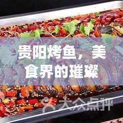 貴陽(yáng)烤魚(yú)，美食界的璀璨明珠，排名前十必嘗佳肴！