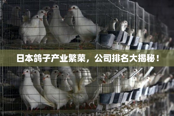 日本鴿子產(chǎn)業(yè)繁榮，公司排名大揭秘！