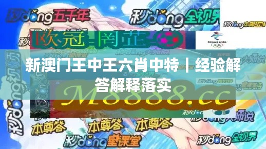 新澳門王中王六肖中特｜經(jīng)驗(yàn)解答解釋落實(shí)