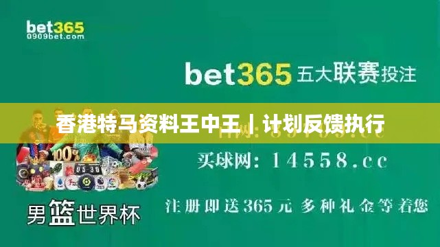 香港特馬資料王中王｜計(jì)劃反饋執(zhí)行
