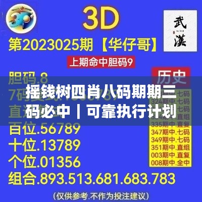搖錢樹四肖八碼期期三碼必中｜可靠執(zhí)行計(jì)劃