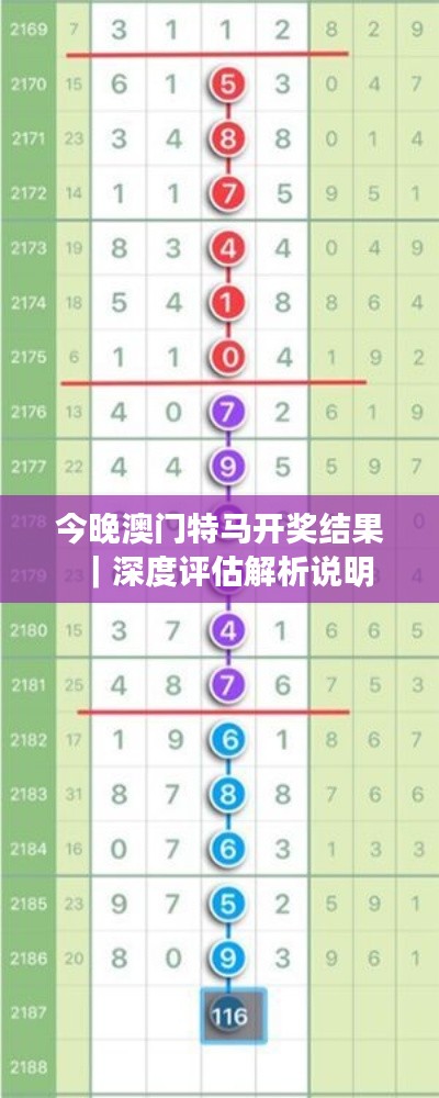 今晚澳門特馬開(kāi)獎(jiǎng)結(jié)果｜深度評(píng)估解析說(shuō)明