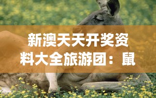 新澳天天開獎資料大全旅游團：鼠、雞、猴、狗，免費資料