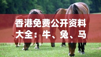 香港免費(fèi)公開(kāi)資料大全：牛、兔、馬、雞，精選四肖
