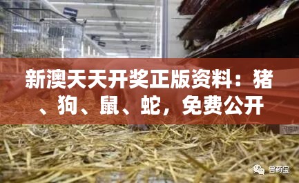 新澳天天開(kāi)獎(jiǎng)?wù)尜Y料：豬、狗、鼠、蛇，免費(fèi)公開(kāi)