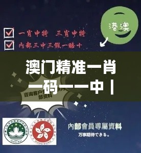 澳門精準(zhǔn)一肖一碼一一中｜詮釋說(shuō)明解析
