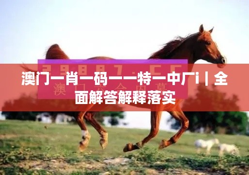 澳門一肖一碼一一特一中廠i｜全面解答解釋落實(shí)