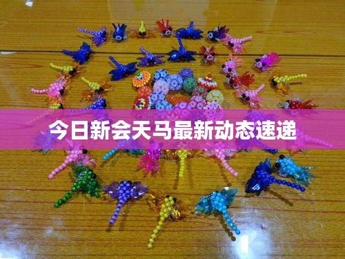 今日新會天馬最新動態(tài)速遞