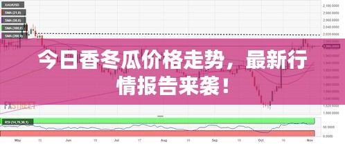 今日香冬瓜價(jià)格走勢(shì)，最新行情報(bào)告來(lái)襲！