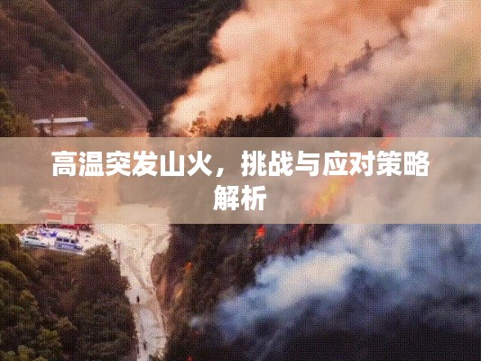 高溫突發(fā)山火，挑戰(zhàn)與應(yīng)對策略解析
