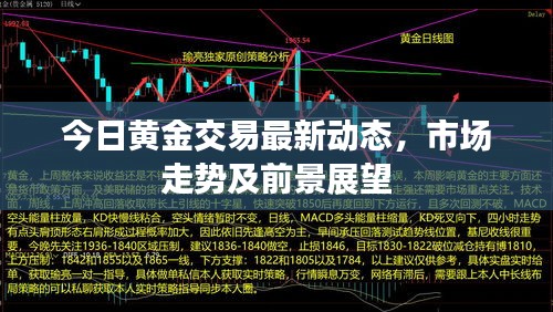 今日黃金交易最新動態(tài)，市場走勢及前景展望