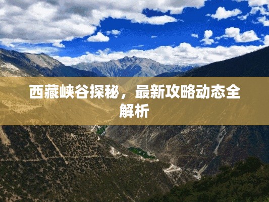 西藏峽谷探秘，最新攻略動(dòng)態(tài)全解析