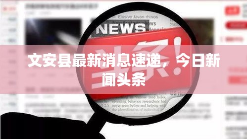文安縣最新消息速遞，今日新聞頭條