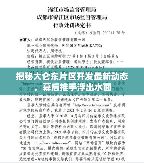 揭秘大侖東片區(qū)開發(fā)最新動態(tài)，幕后推手浮出水面