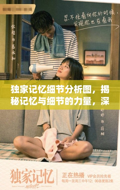 獨家記憶細節(jié)分析圖，揭秘記憶與細節(jié)的力量，深度解讀引人矚目