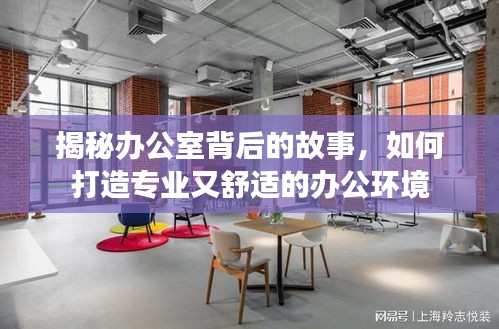 揭秘辦公室背后的故事，如何打造專業(yè)又舒適的辦公環(huán)境