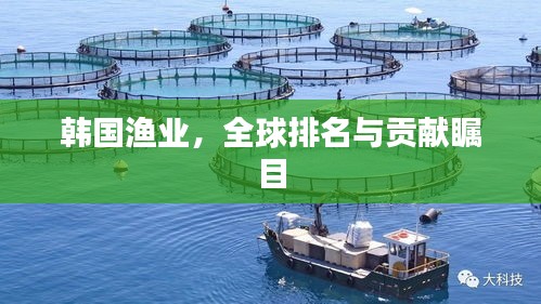 韓國漁業(yè)，全球排名與貢獻(xiàn)矚目