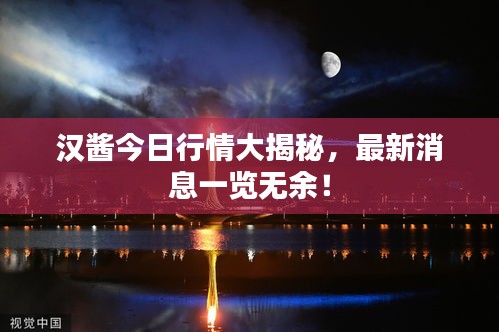 漢醬今日行情大揭秘，最新消息一覽無余！
