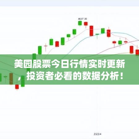 美園股票今日行情實時更新，投資者必看的數(shù)據(jù)分析！