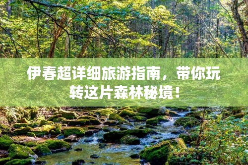 伊春超詳細(xì)旅游指南，帶你玩轉(zhuǎn)這片森林秘境！