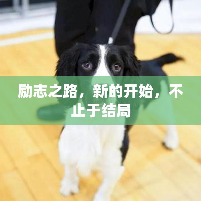 傷弓之鳥 第2頁