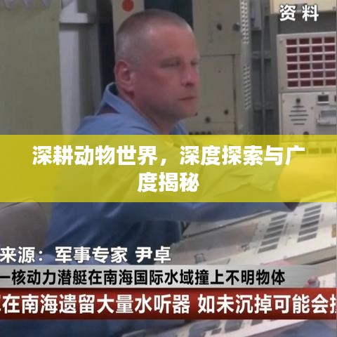 深耕動(dòng)物世界，深度探索與廣度揭秘