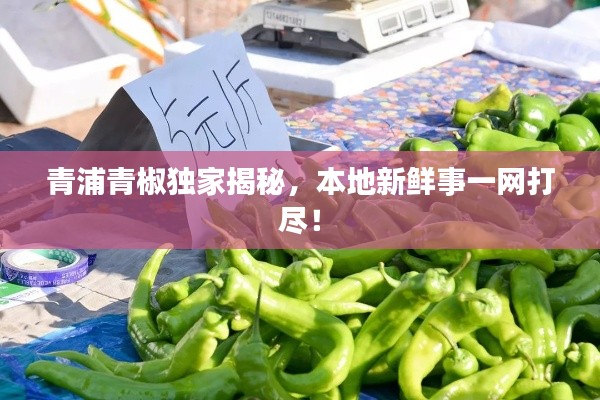 青浦青椒獨(dú)家揭秘，本地新鮮事一網(wǎng)打盡！