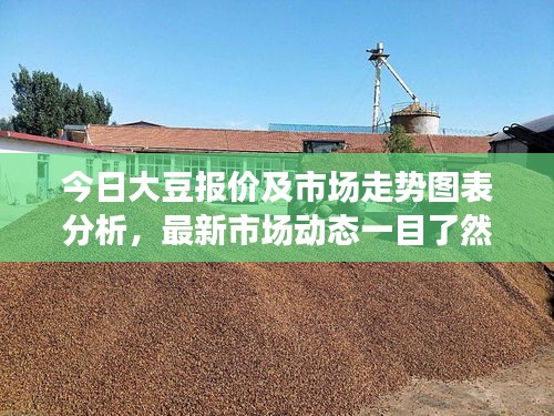 今日大豆報價及市場走勢圖表分析，最新市場動態(tài)一目了然