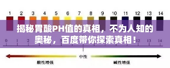 揭秘胃酸PH值的真相，不為人知的奧秘，百度帶你探索真相！