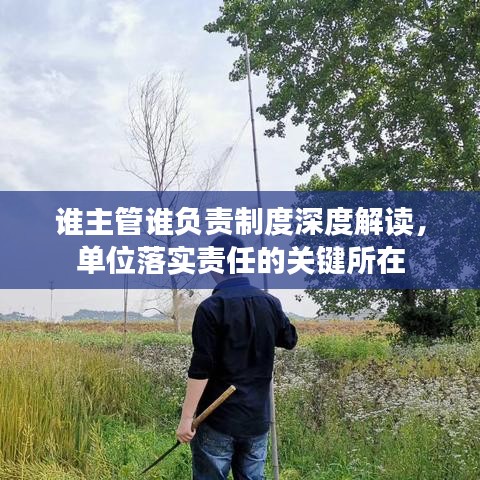誰主管誰負(fù)責(zé)制度深度解讀，單位落實責(zé)任的關(guān)鍵所在
