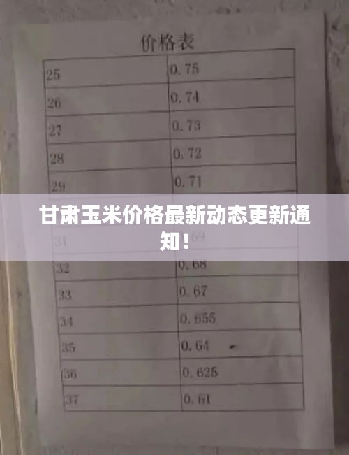 甘肅玉米價(jià)格最新動(dòng)態(tài)更新通知！