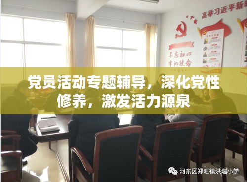 黨員活動專題輔導(dǎo)，深化黨性修養(yǎng)，激發(fā)活力源泉
