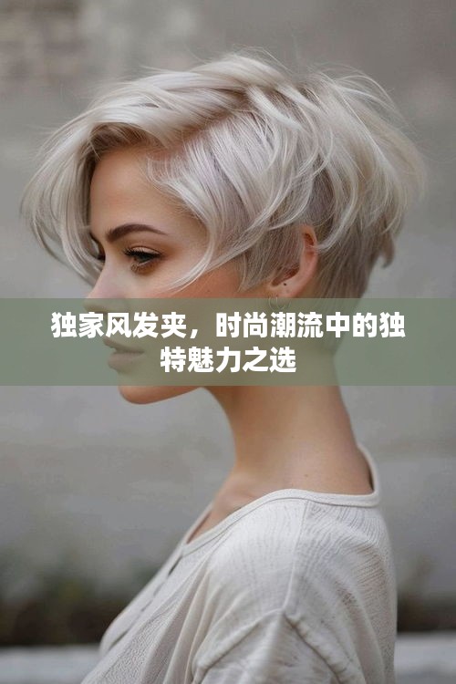 獨(dú)家風(fēng)發(fā)夾，時(shí)尚潮流中的獨(dú)特魅力之選