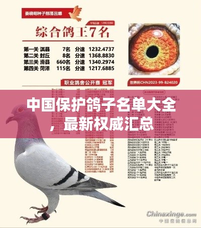 中國保護(hù)鴿子名單大全，最新權(quán)威匯總