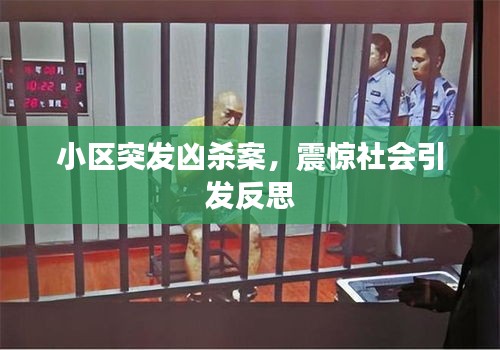 小區(qū)突發(fā)兇殺案，震驚社會(huì)引發(fā)反思