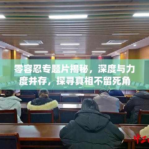 零容忍專(zhuān)題片揭秘，深度與力度并存，探尋真相不留死角