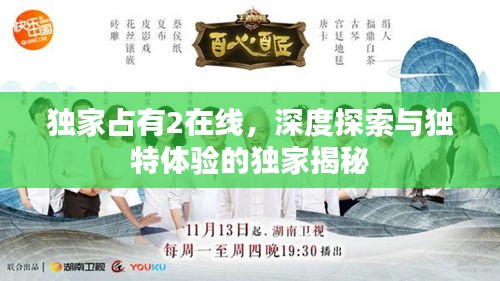獨家占有2在線，深度探索與獨特體驗的獨家揭秘