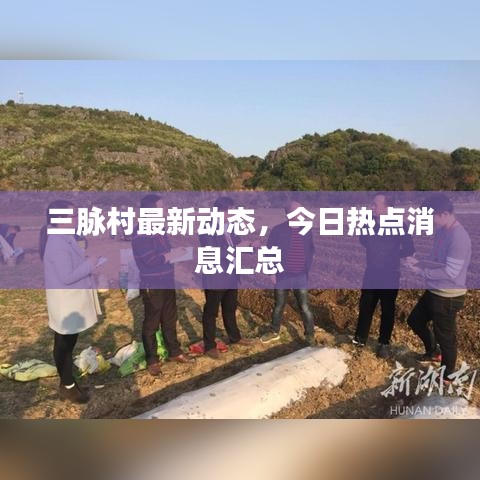 三脈村最新動(dòng)態(tài)，今日熱點(diǎn)消息匯總