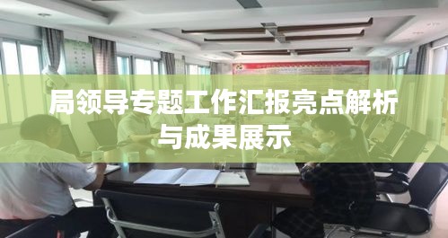 局領(lǐng)導(dǎo)專(zhuān)題工作匯報(bào)亮點(diǎn)解析與成果展示