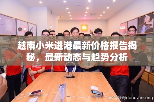 越南小米進(jìn)港最新價(jià)格報(bào)告揭秘，最新動(dòng)態(tài)與趨勢分析