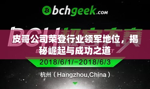 皮哥公司榮登行業(yè)領(lǐng)軍地位，揭秘崛起與成功之道