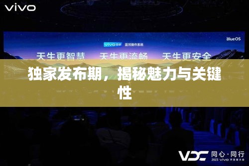獨家發(fā)布期，揭秘魅力與關(guān)鍵性