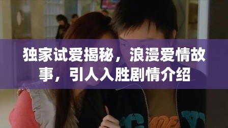 獨(dú)家試愛揭秘，浪漫愛情故事，引人入勝劇情介紹